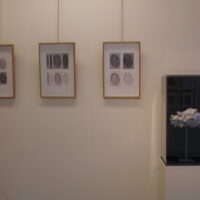 Exhibition at the gallery Furstenberg