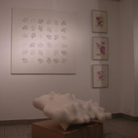 Exhibition Center Art Plastic Albert Chanot
