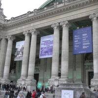 Exhibition Grand Palais "comparaisons" Paris, 2013.