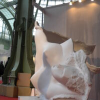 Exhibition Grand Palais "comparaisons" Paris, 2017