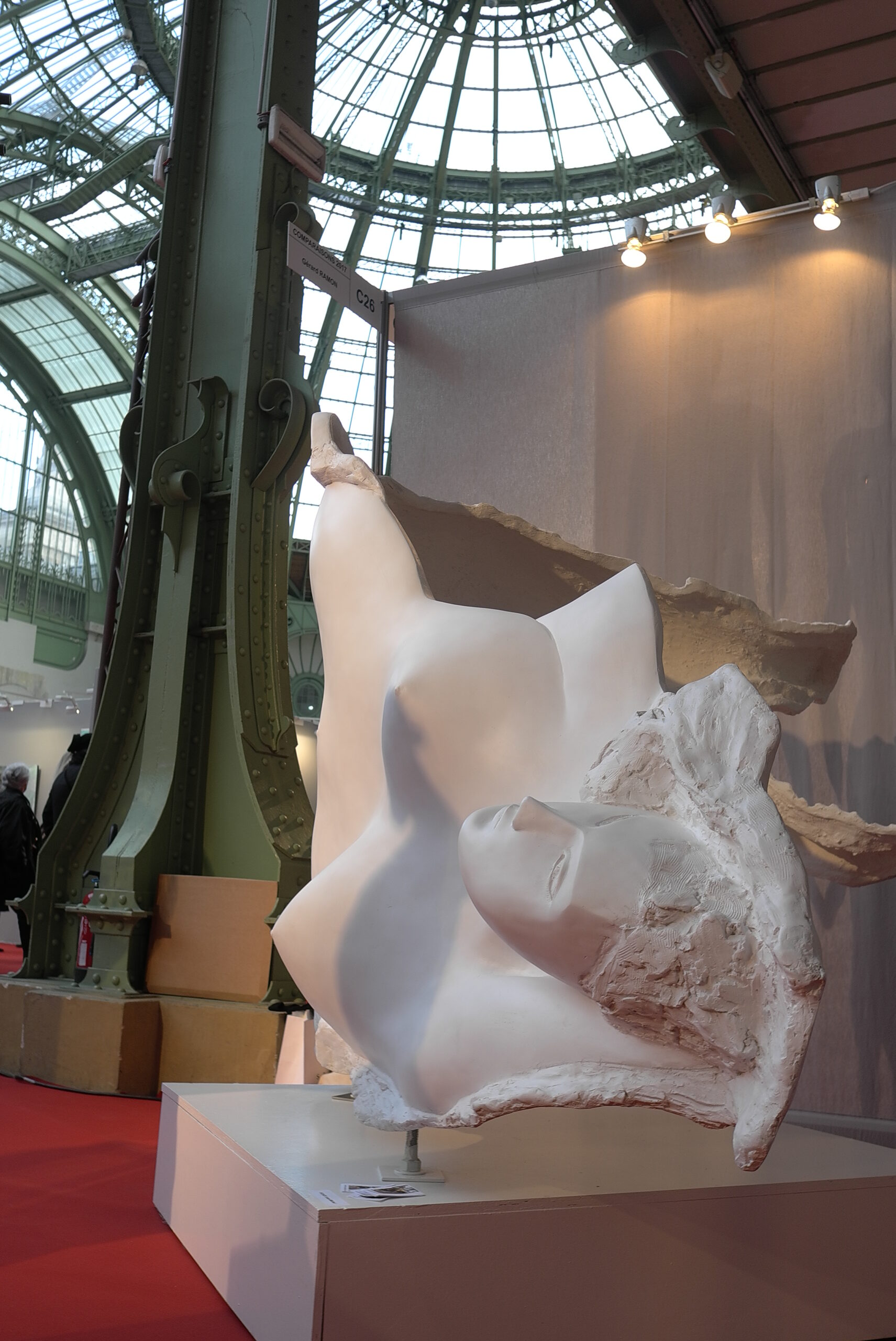 Exhibition Grand Palais « comparaisons » Paris, 2017