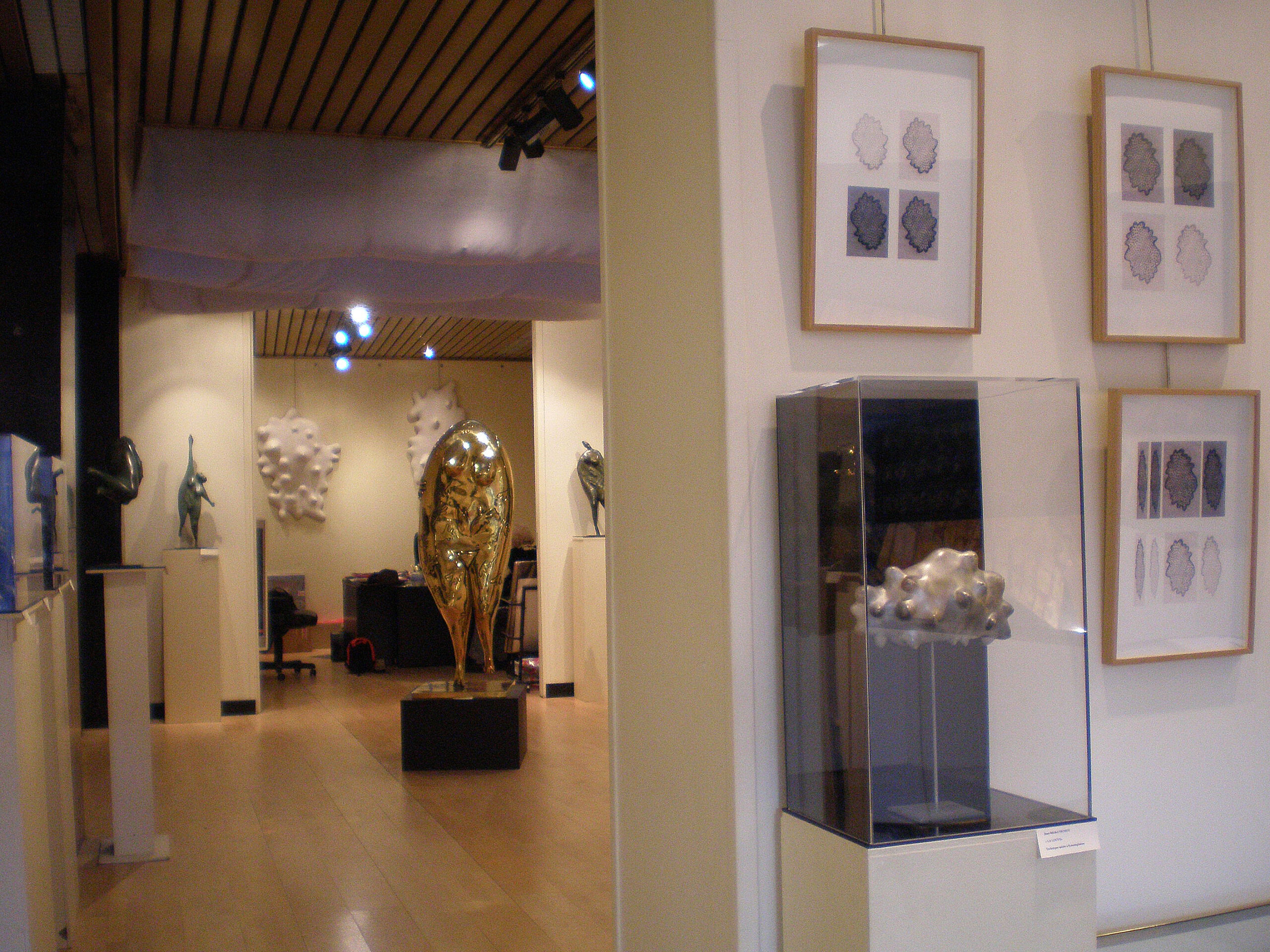 Exhibition at the gallery Furstenberg Paris 2010.