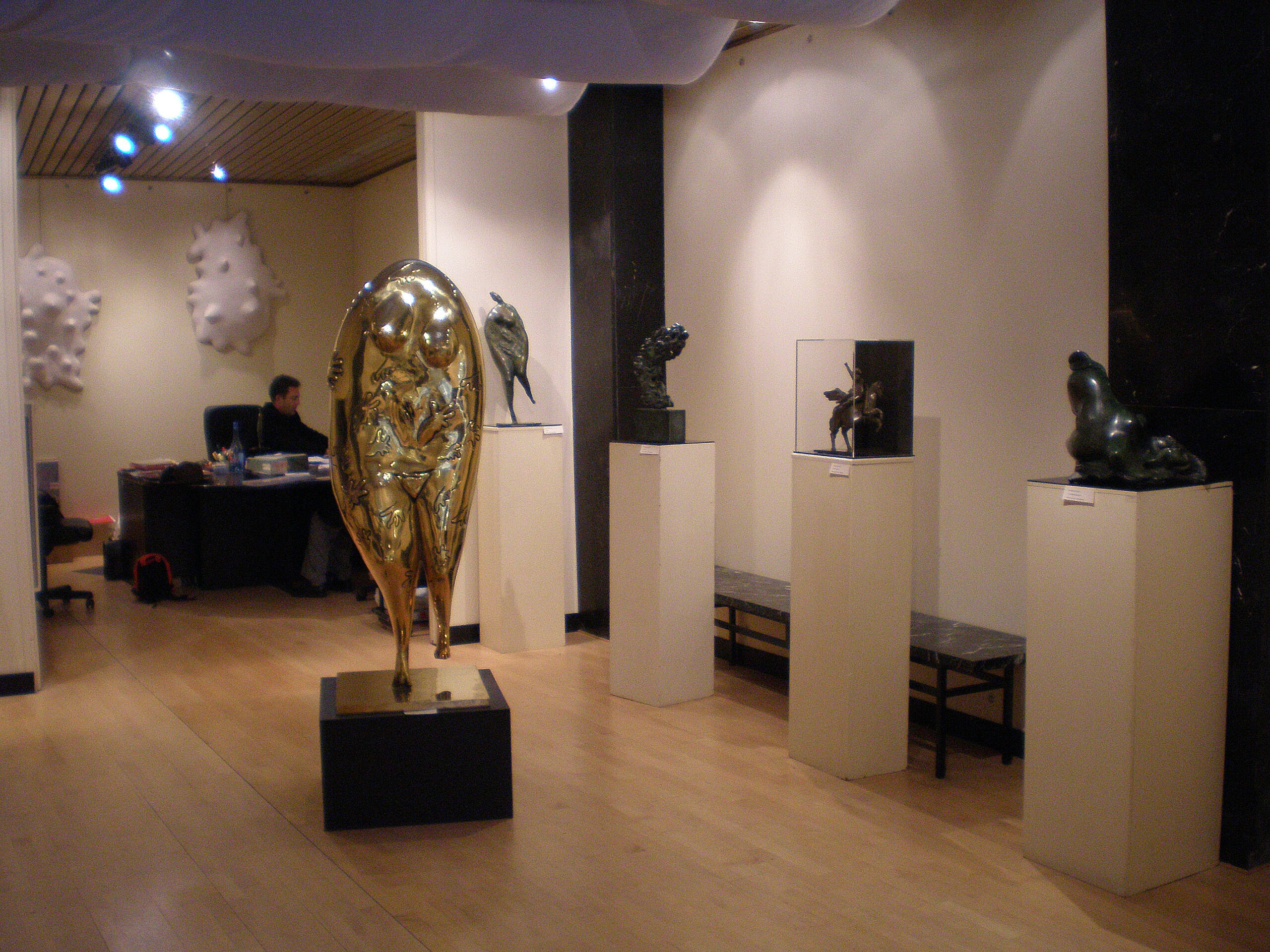 Exhibition at the gallery Furstenberg Paris 2010.
