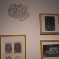 Exhibition Center Art Plastic Albert Chanot, "drawing" 2010.