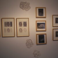 Exhibition Center Art Plastic Albert Chanot, "drawing" 2010.