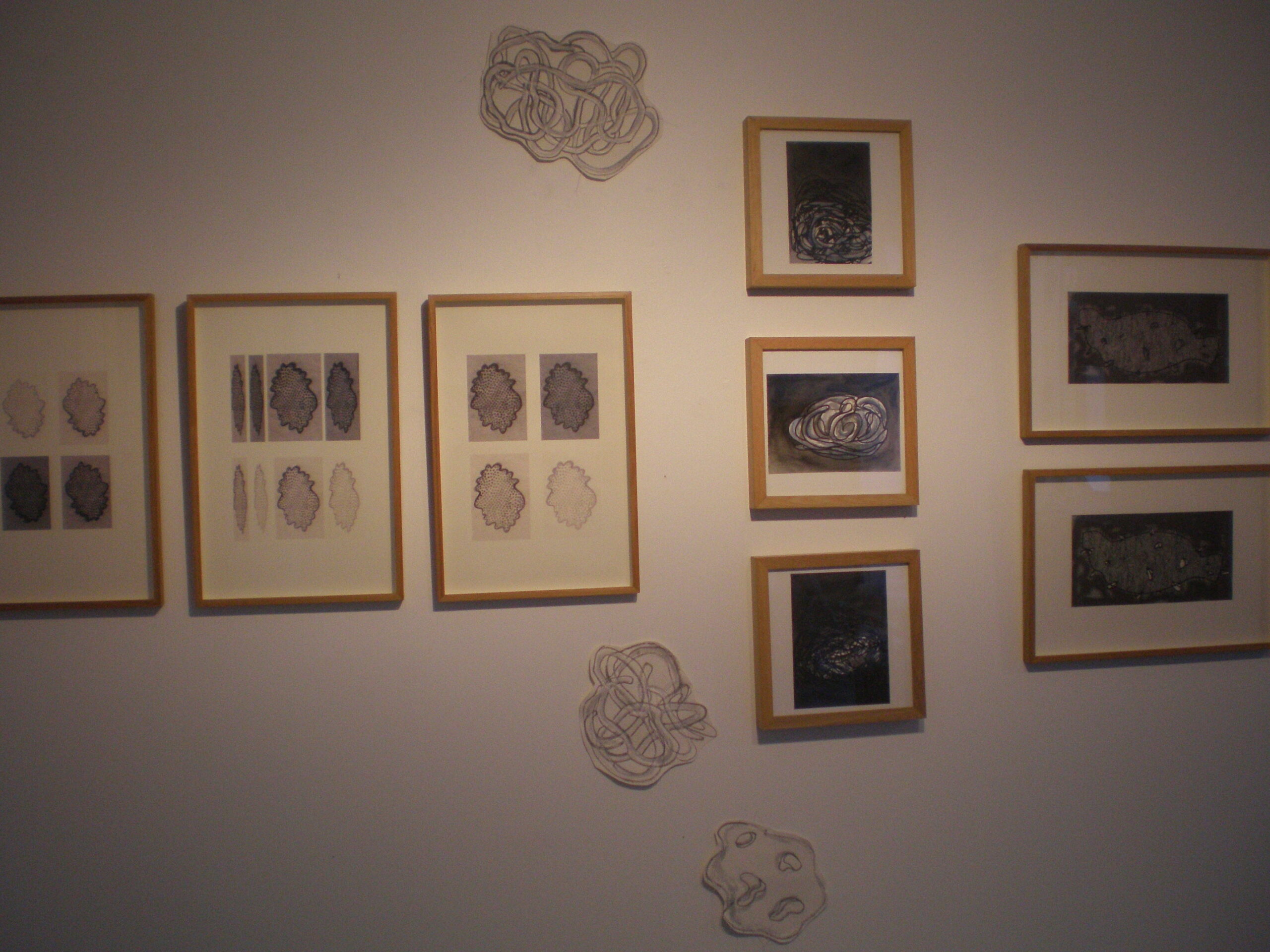Exhibition Center Art Plastic Albert Chanot, « drawing » 2010.