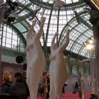 Exhibition Grand Palais "comparaisons" Paris.