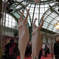 Exhibition Grand Palais "comparaisons" Paris.