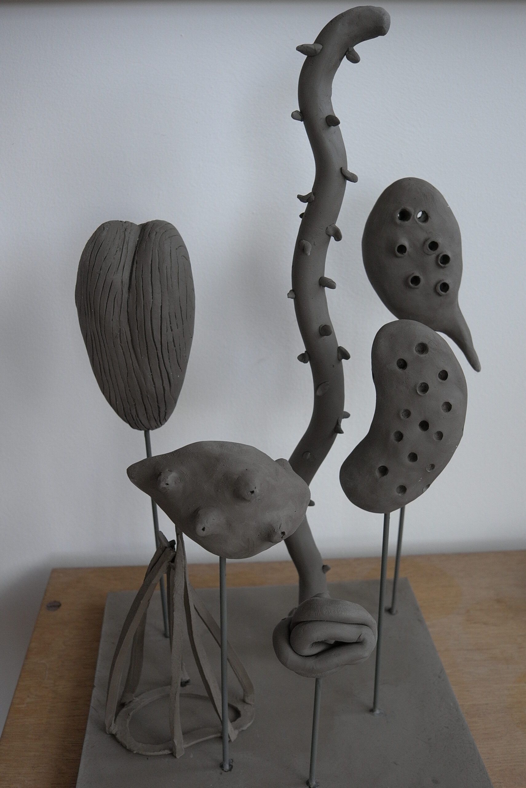 series « des graines » ceramic, 2013.   © jm fichot