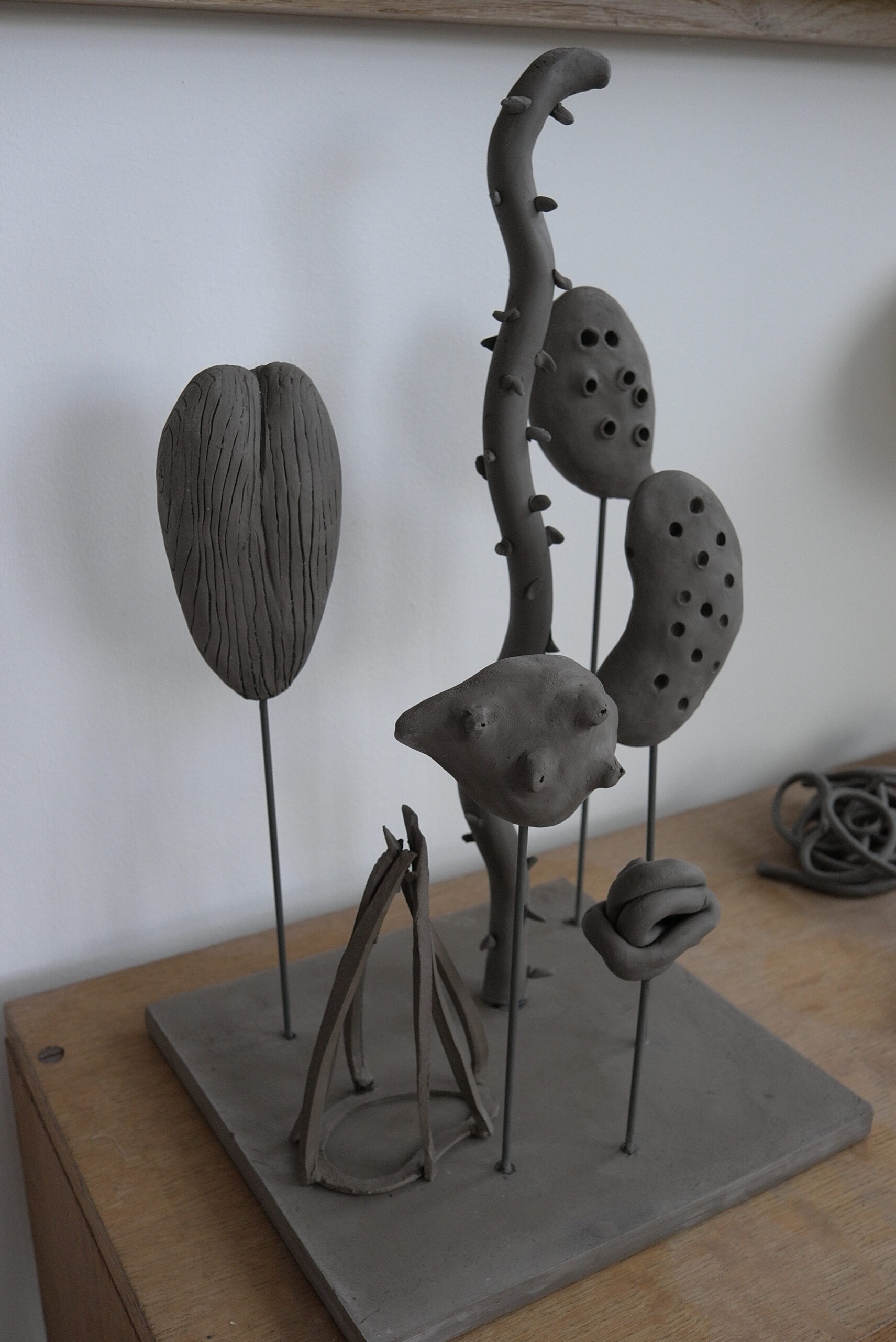series “des graines” ceramic, 2013.   © jm fichot
