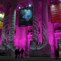 Exhibition Grand Palais "comparaisons" Paris, 2014.