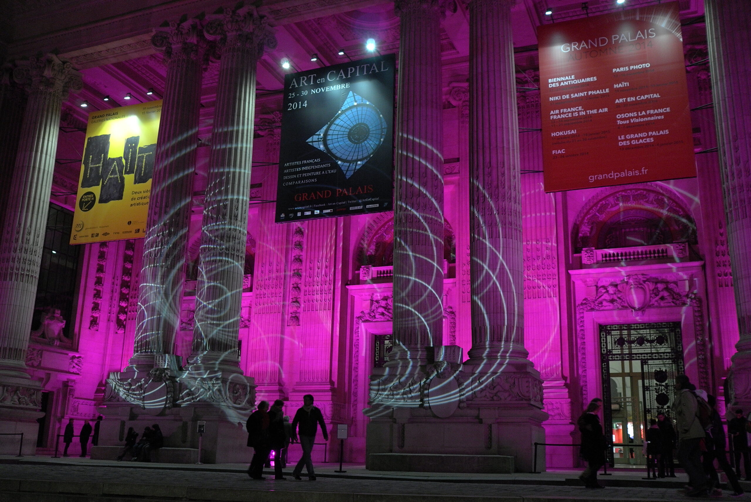 Exhibition Grand Palais « comparaisons » Paris, 2014.