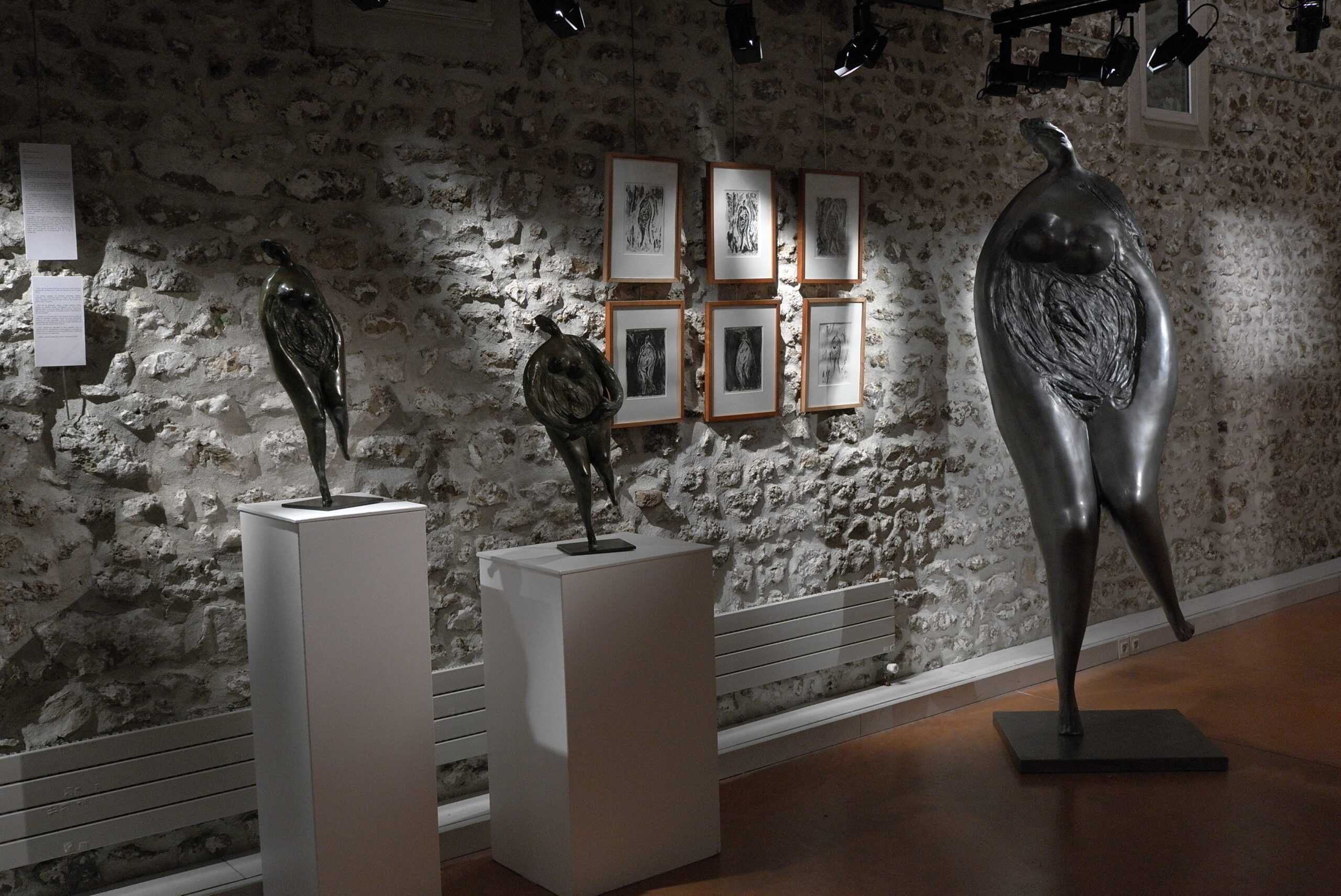 Exhibition at the Gallery « Ferme du Mousseau », 2014.