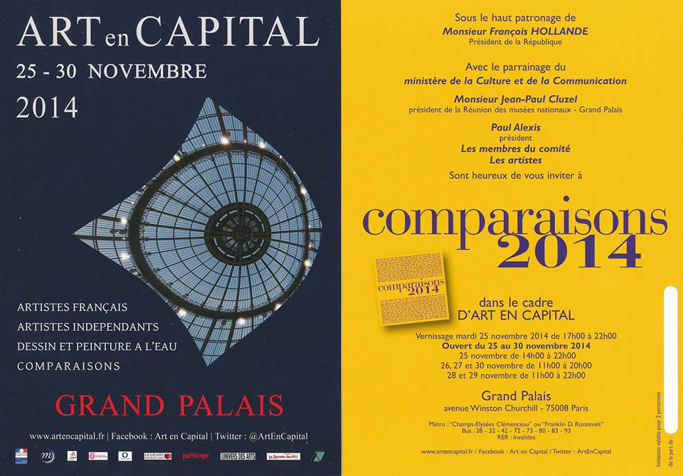 Exhibition Grand Palais « comparaisons » Paris, 2014.