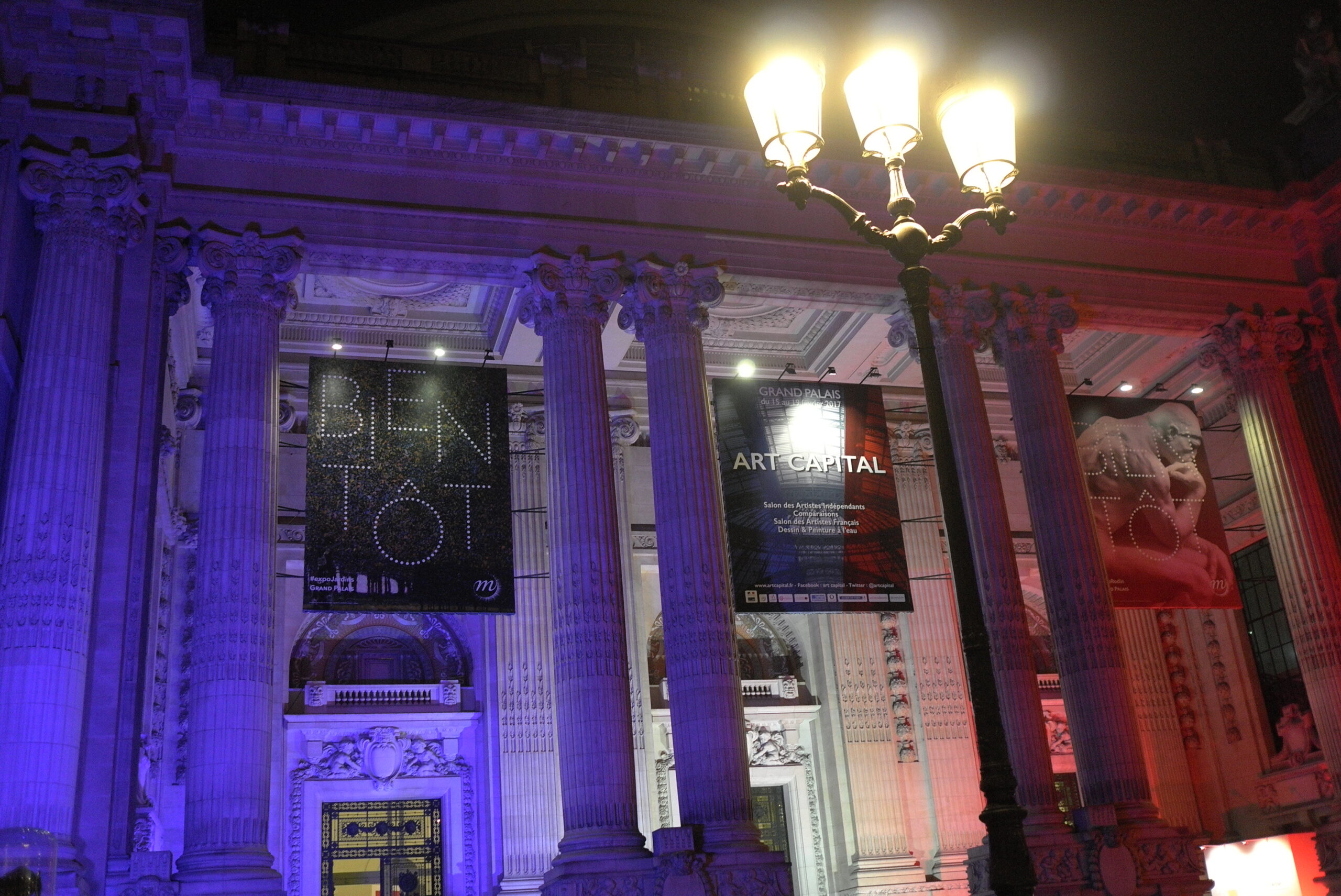 Exhibition Grand Palais « comparaisons » Paris, 2017.