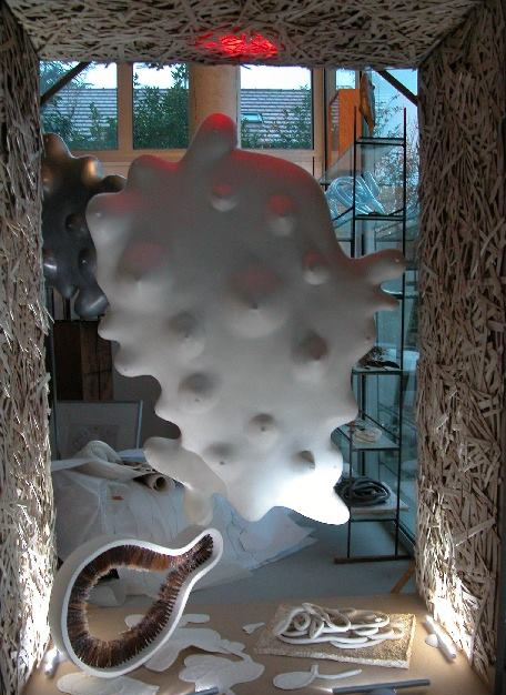 « vitrine blanche » 2011